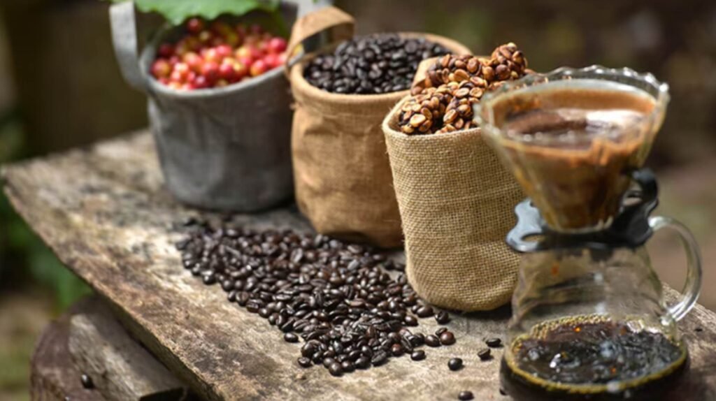 CAFÉ GRANOS
