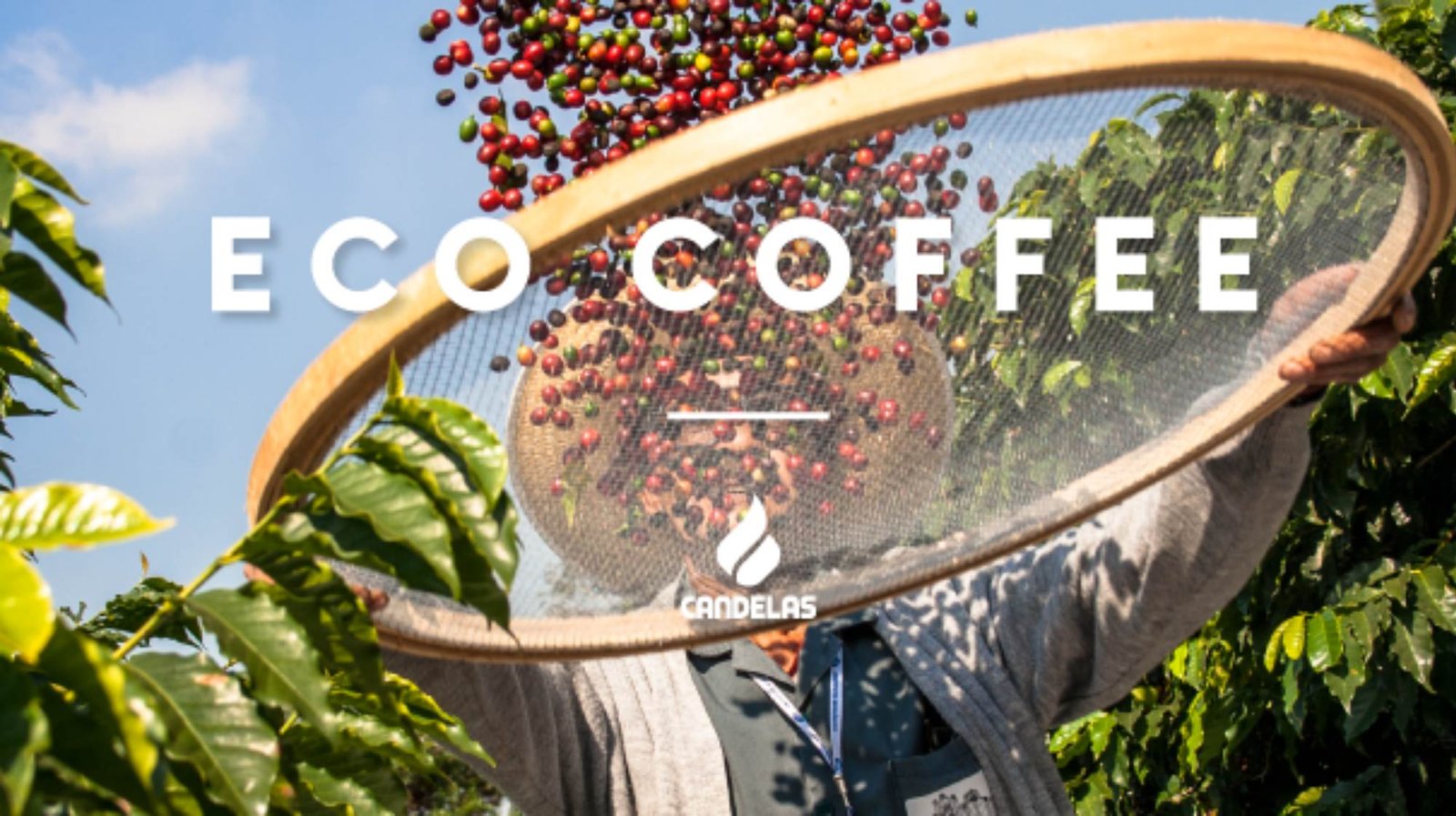 ECO COFFEE