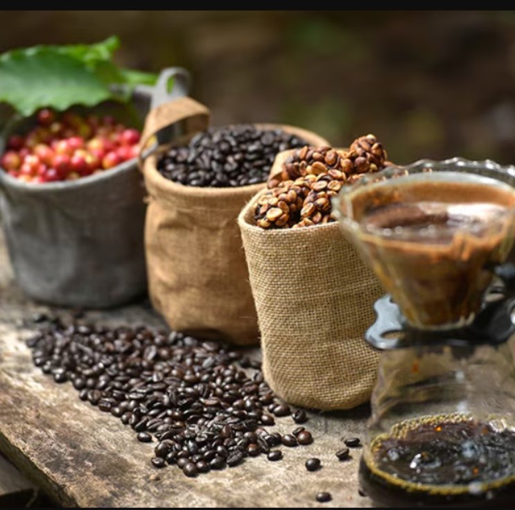 CAFÉ GRANOS